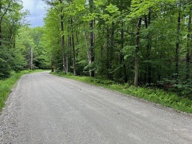 Property Photo:  Lot 121 Davis Mine Rd  MA 01367 