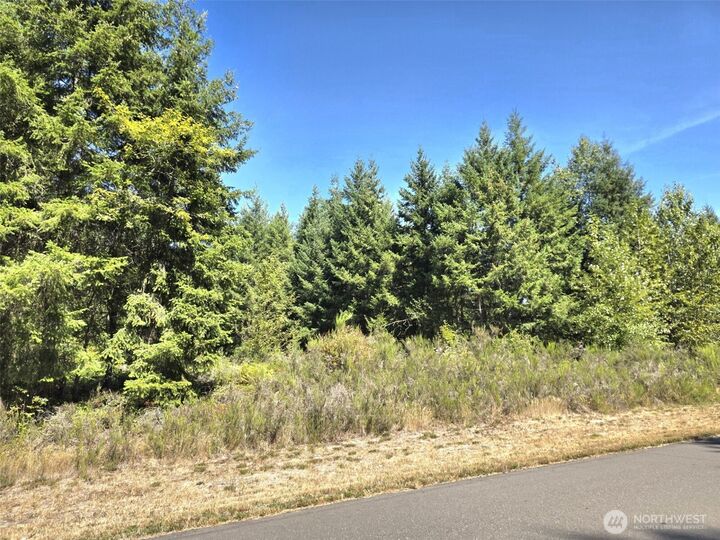 Property Photo: 19710 146th Avenue SE WA 98597