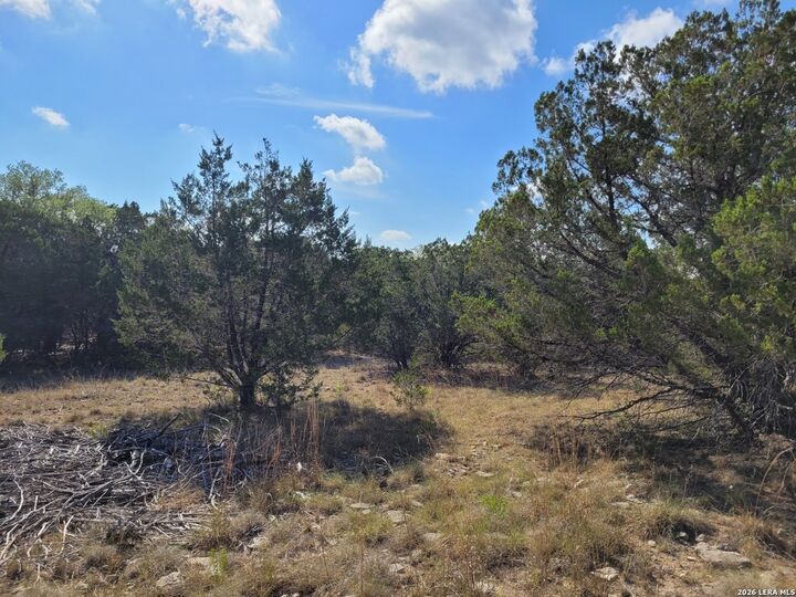 Property Photo:  118 Bobby Clark Dr  TX 78133 