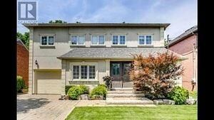 Photo de la propriété:  244 Horsham Avenue Bsmt  ON M2N 2A6 