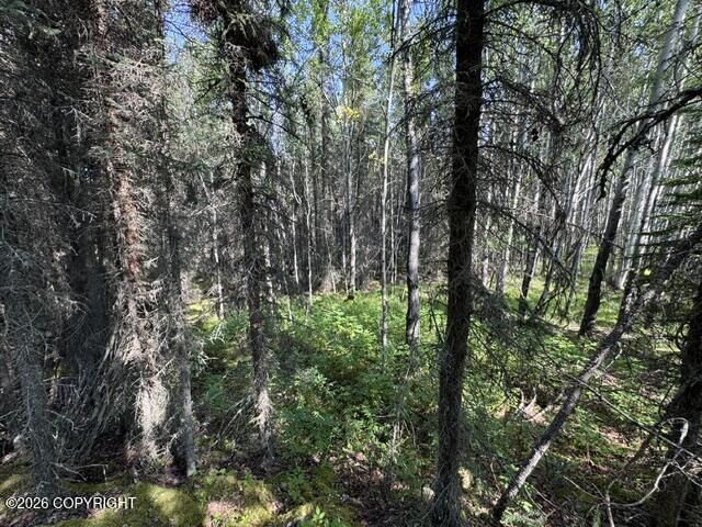 Property Photo:  L3 B1 Funny River Road  AK 99669 