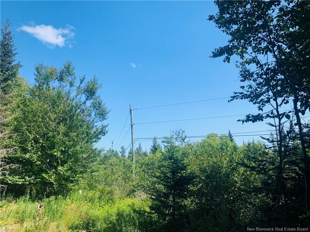 Property Photo:  86-106 Fundy Drive  NB E5E 1X2 