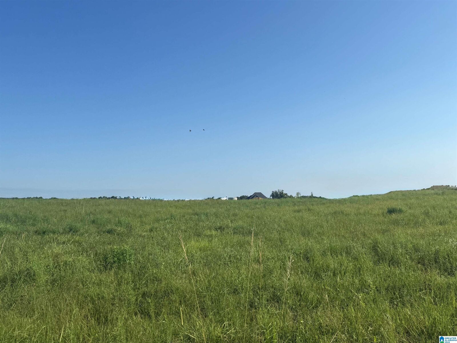 Property Photo: Lot 32 County Road 1464 32 AL 35058