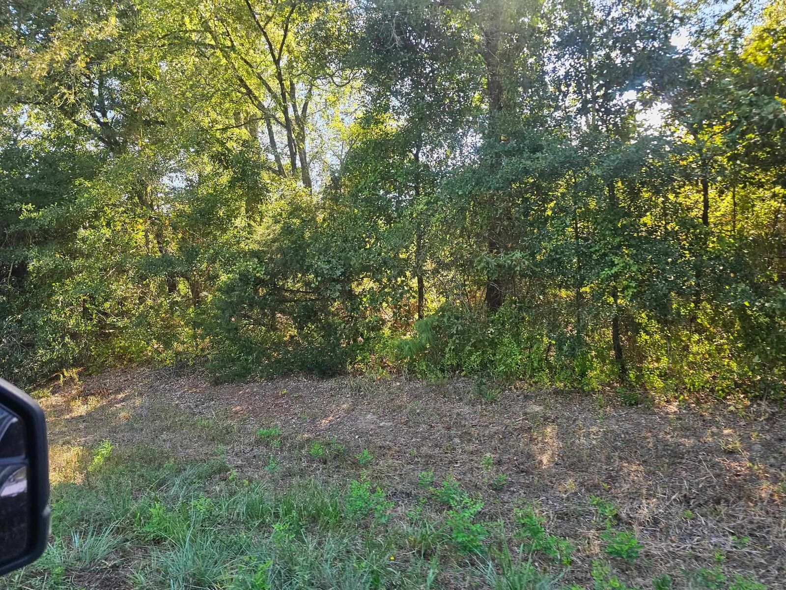 Property Photo:  Tbd N Fm 49  TX 75644 