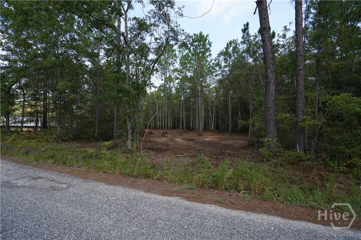 Property Photo:  1 Williams Road  GA 31312 