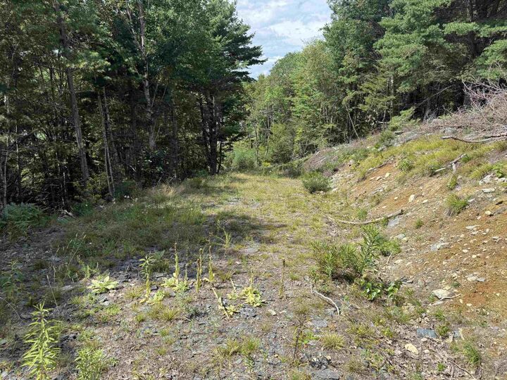 Property Photo:  Lot 109 East Clifford Road  NS B4V 1Y7 