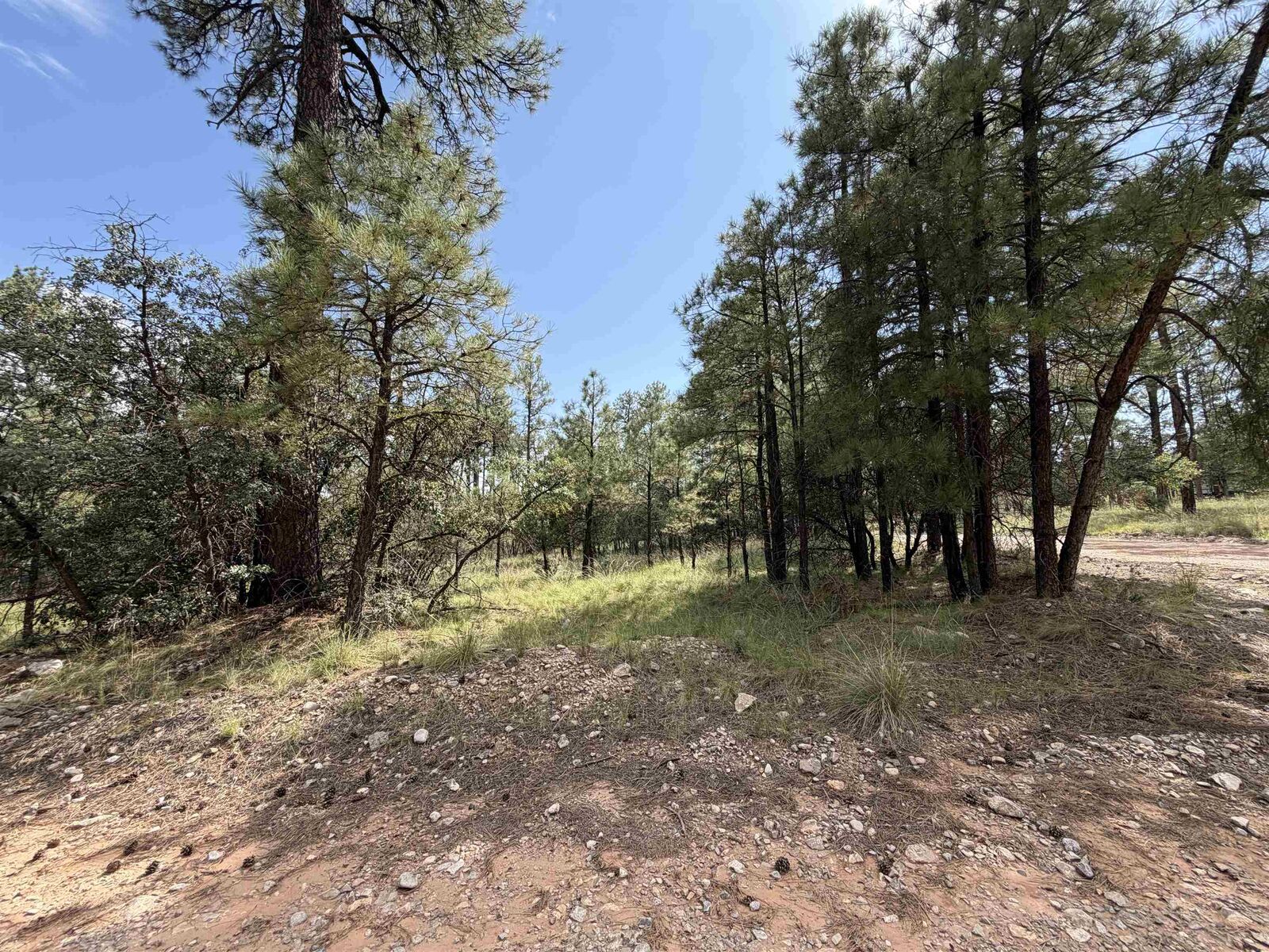 Property Photo:  57 Dixwood Dr  NM 88350 