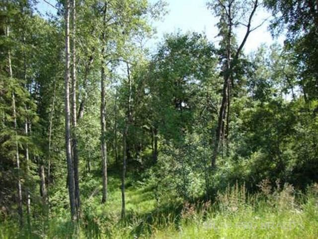Property Photo:  Lot 4 Blk 5 Lakeside Drive  SK S0M 2G0 