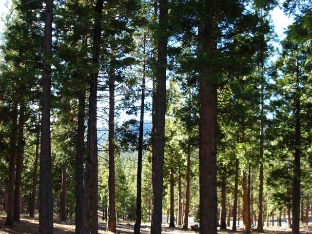 Property Photo:  269 Big Cedar Lane  CA 96122 