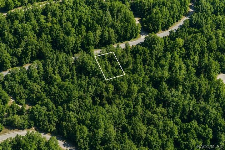 Property Photo: 905 E Abend Drive FL 34434