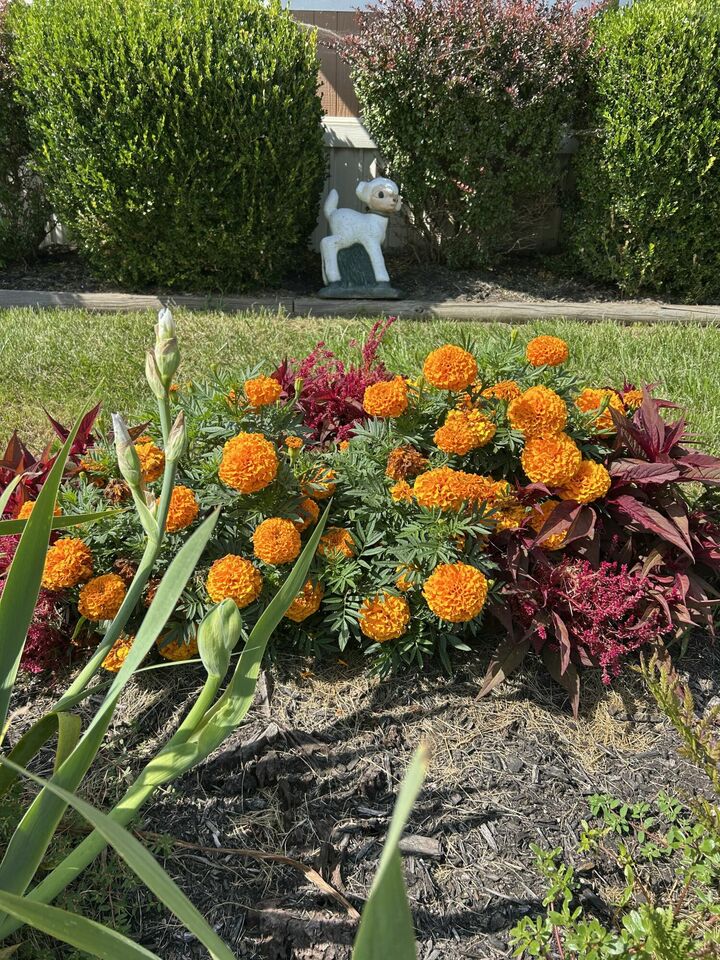 Property Photo:  48 Beech Drive  OH 45502 