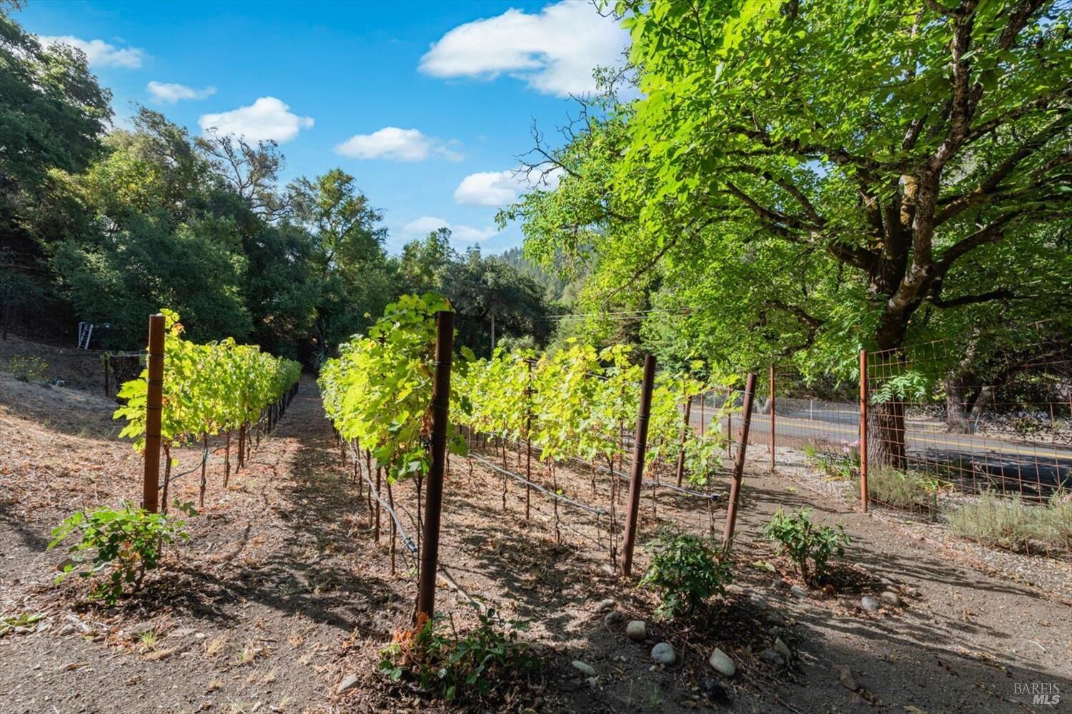 Property Photo: 5266 Dry Creek Road CA 94558