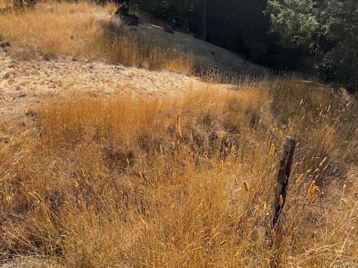 Property Photo:  25521 Madrone Way  CA 95490 