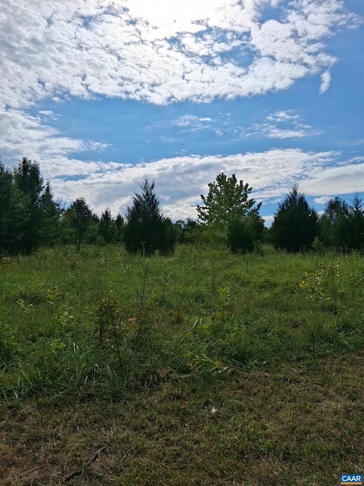 Property Photo: Lot 4 Ridge Rd VA 22936