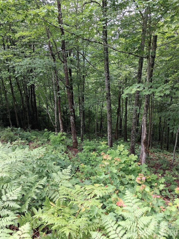 Property Photo: Tbd Preservation Trail 47 NC 28779