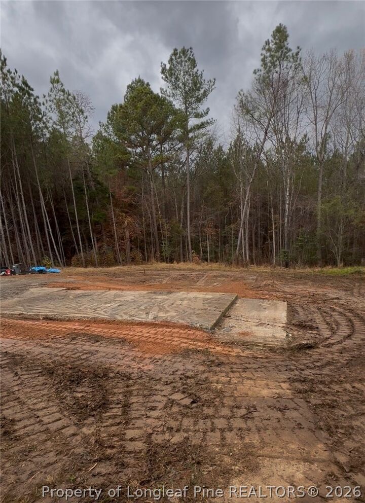 Property Photo: 183 Thistlecone Lane NC 27330
