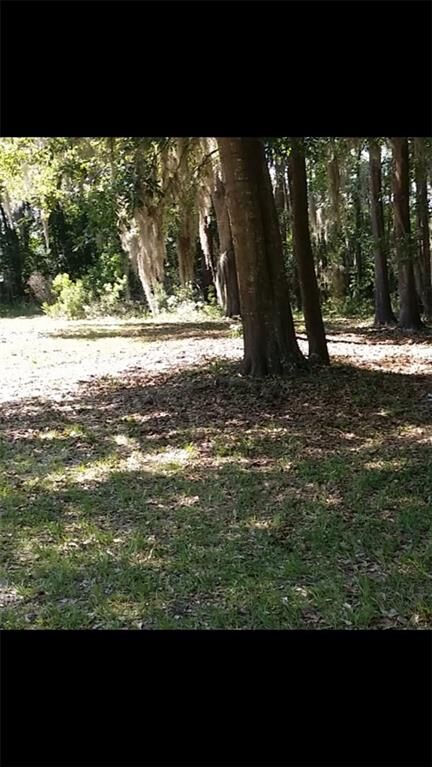 Property Photo: 221 Turtle Drive GA 31324