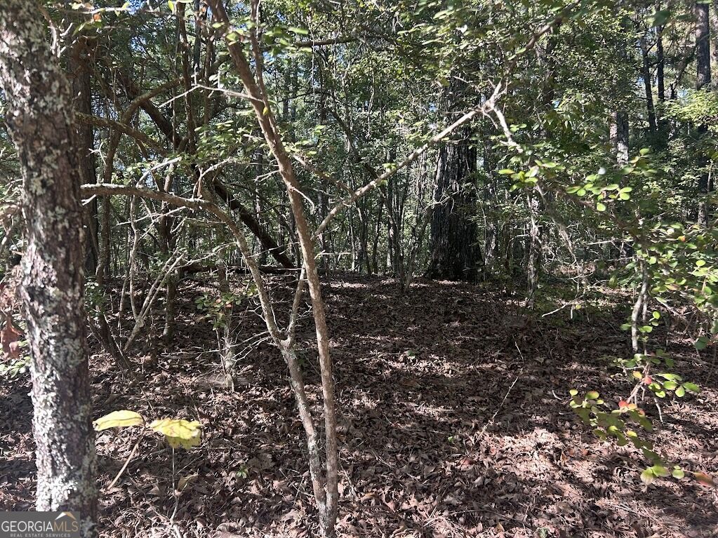 Property Photo: 0 Springer Road GA 30185