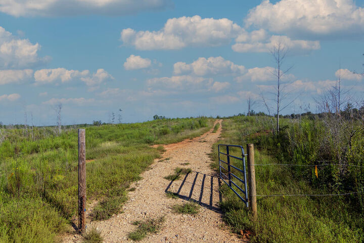 Property Photo:  Tract 4 Highway 0036  GA 31836 