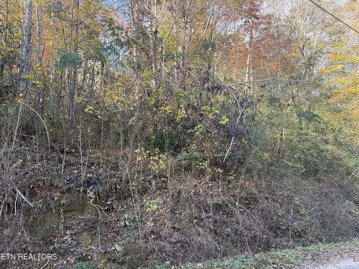 Property Photo:  Trentham Way  TN 37863 
