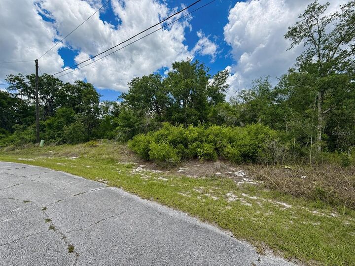 Property Photo:  1334 Tallahassee Court  FL 34759 