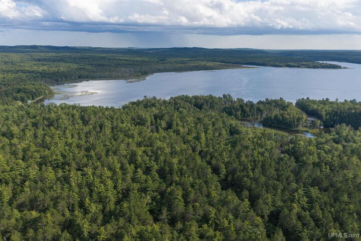 Property Photo: Tbd Perry Road MI 49806