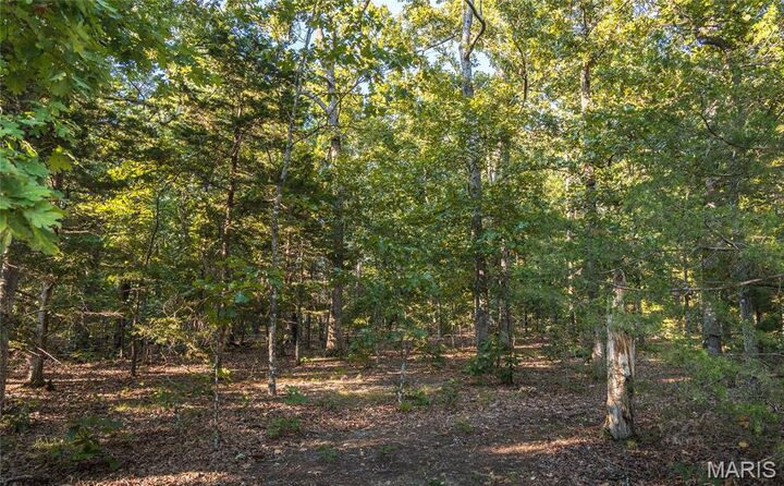 Property Photo: 16501 State Route K MO 65462
