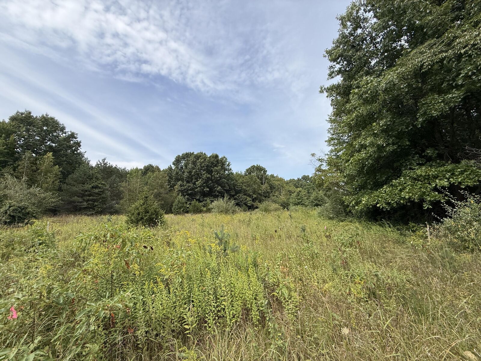 Property Photo:  V/L Sawyer Road  MI 49125 