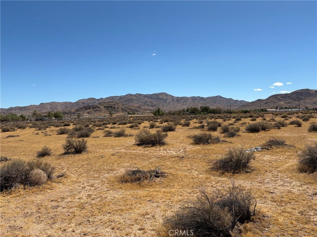 Property Photo:  0 Joshua Road  CA 92307 