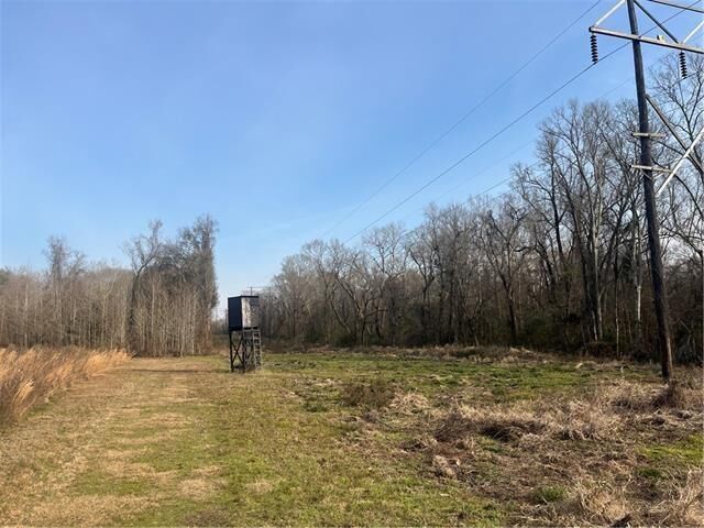Property Photo:  123 Sewer Pond Road  LA 71350 