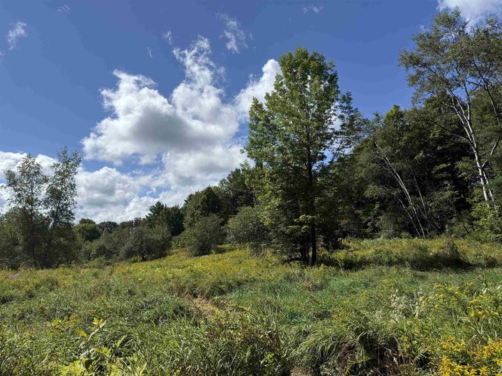 Property Photo:  00 Merrill Road  VT 05656 