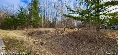Property Photo:  187 Greensboro Way  MI 48624 