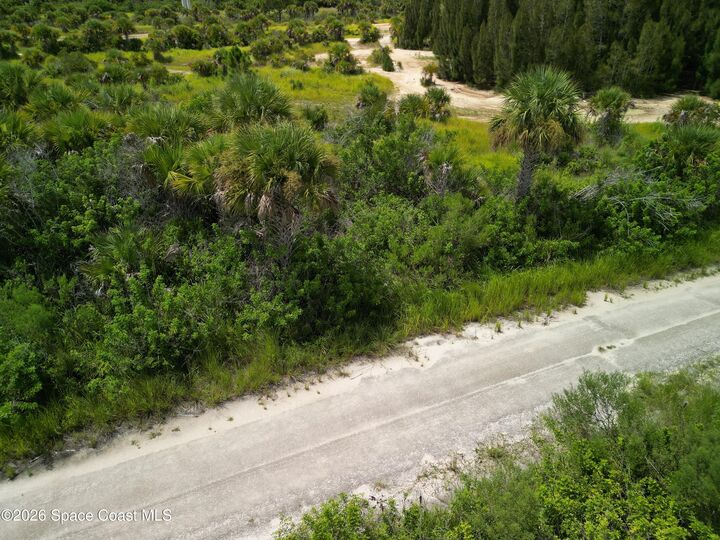 Property Photo: 3362 Slimtwig Avenue SW FL 32908