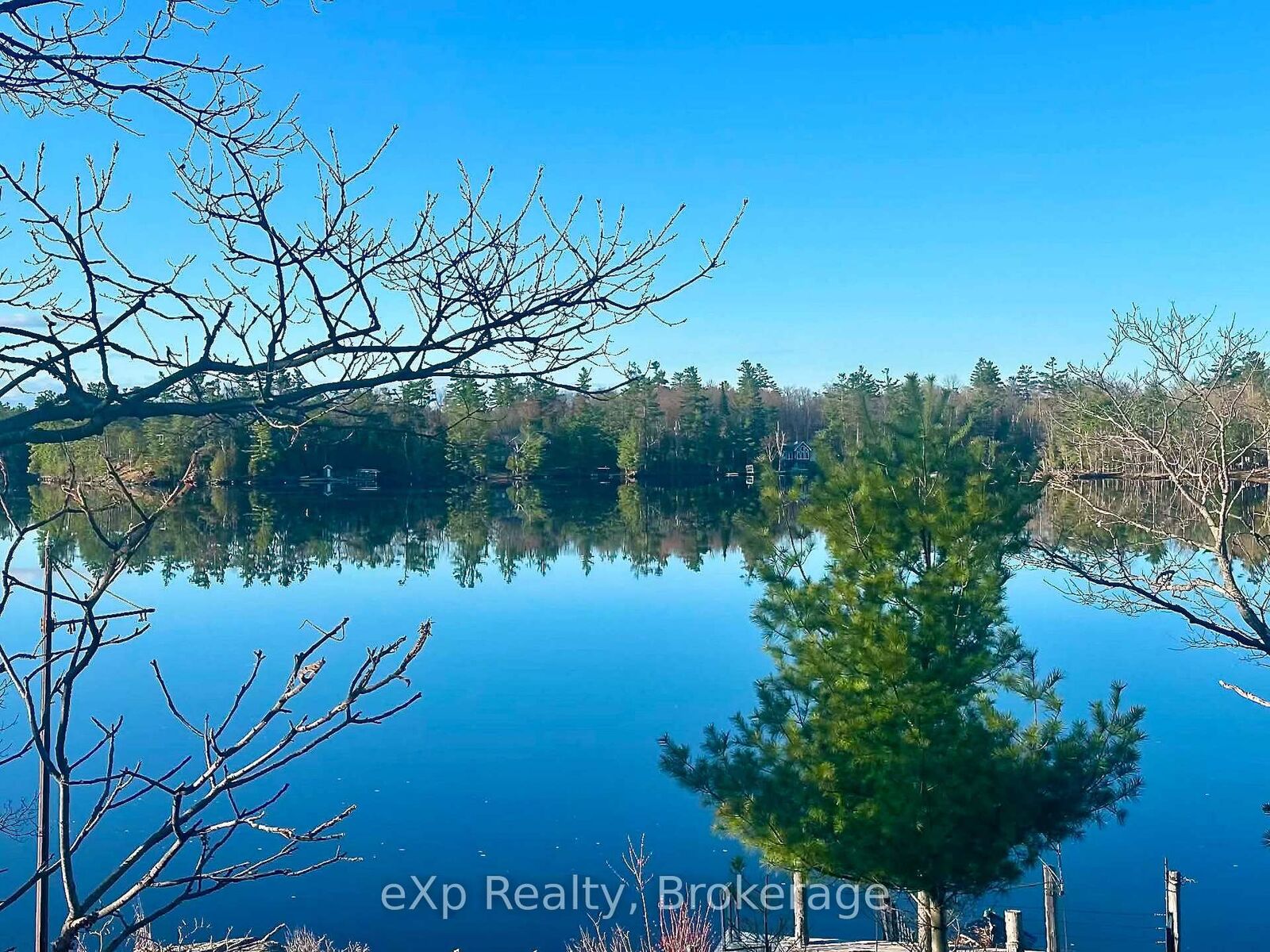 Property Photo:  1336 Morrison Lake Road S Riverside 36  ON P0E 1G0 