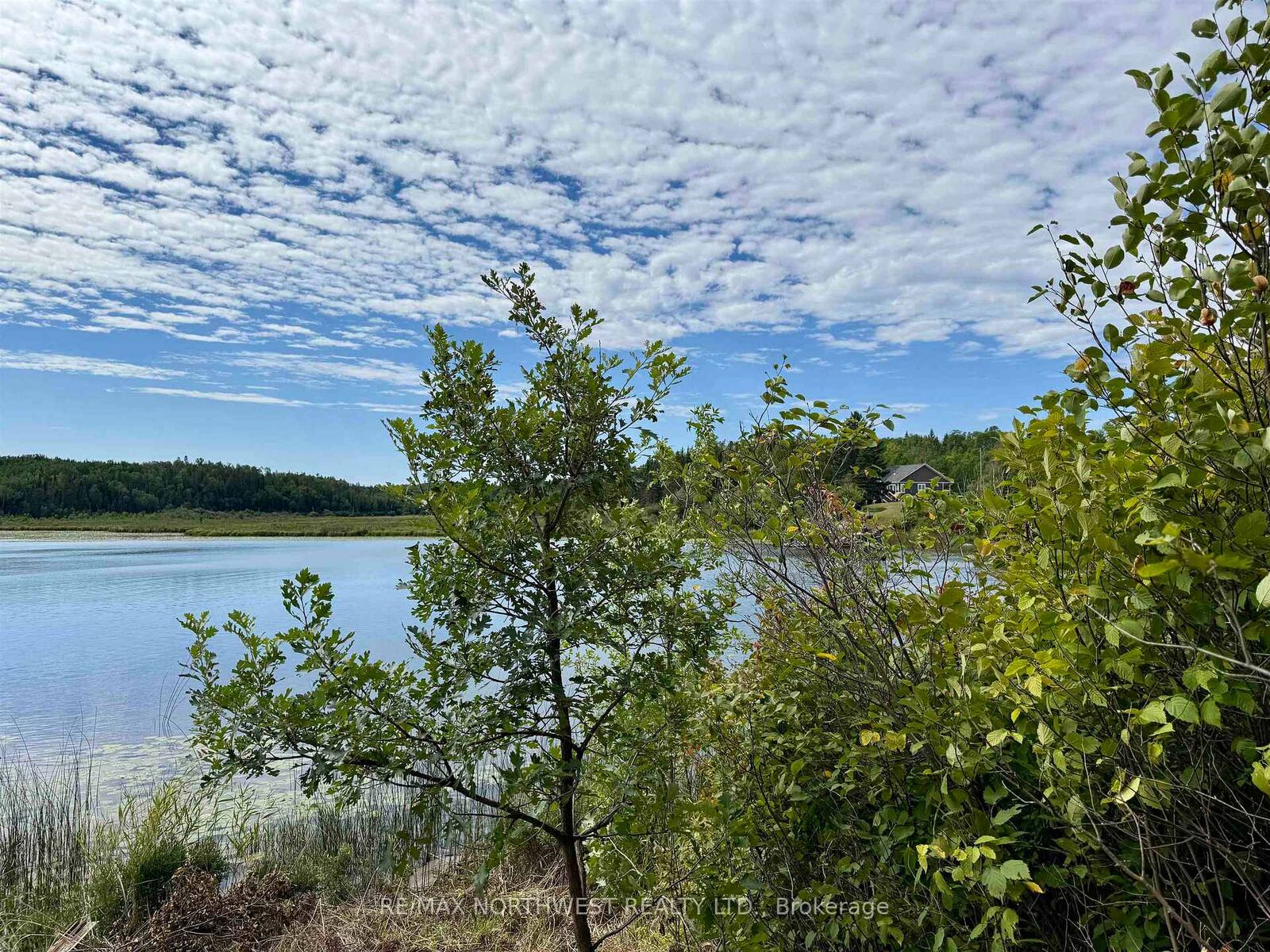 Property Photo:  3 Battigelli Drive  ON P9N 4P2 