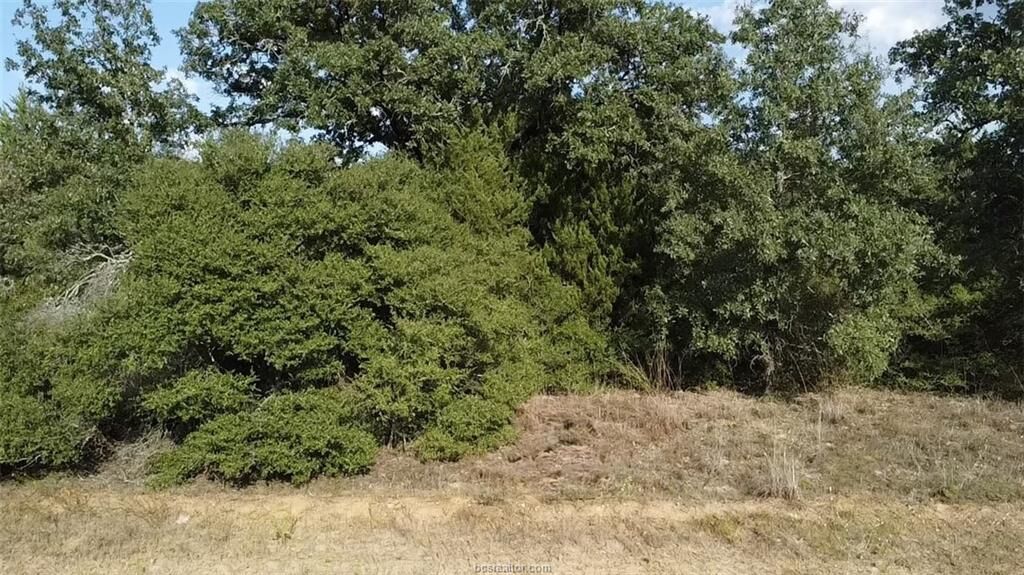 Property Photo:  Tbd Holly Springs Drive  TX 77871 