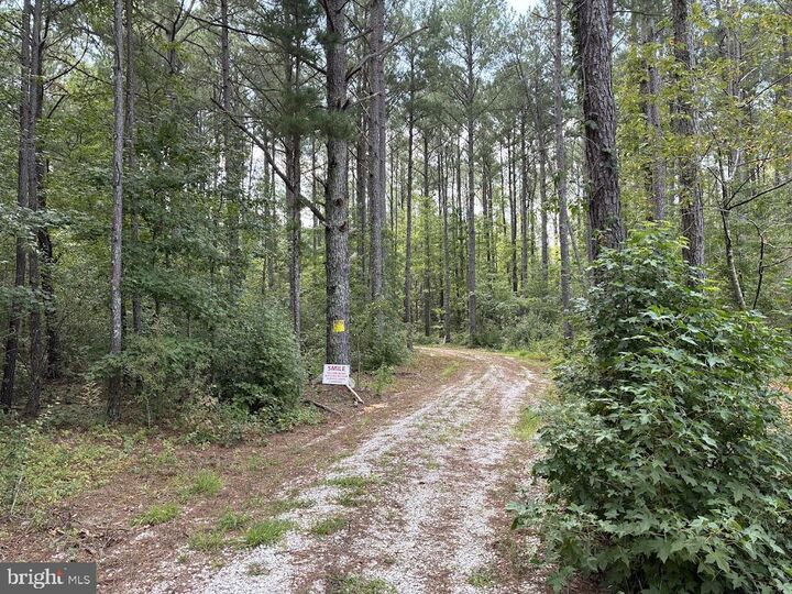 Property Photo:  0 Old Stage Coach Road  MD 21863 