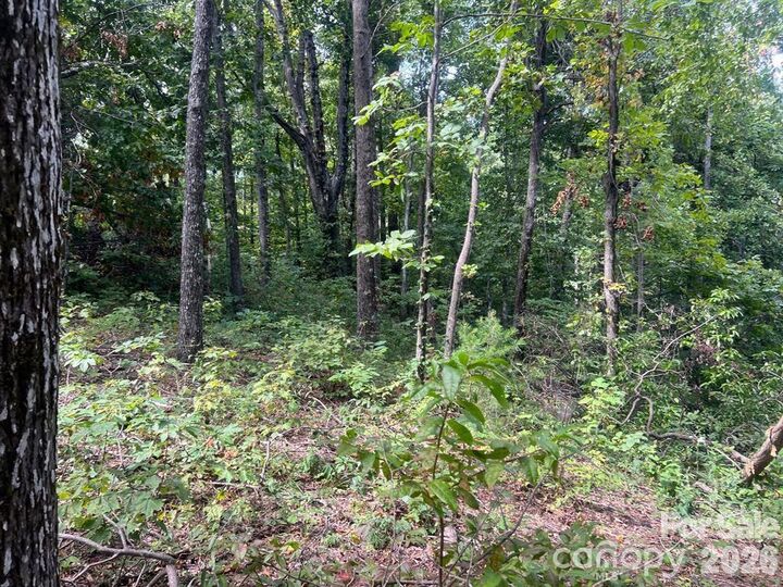 Property Photo: 6792 Silver Creek Lane NC 28655