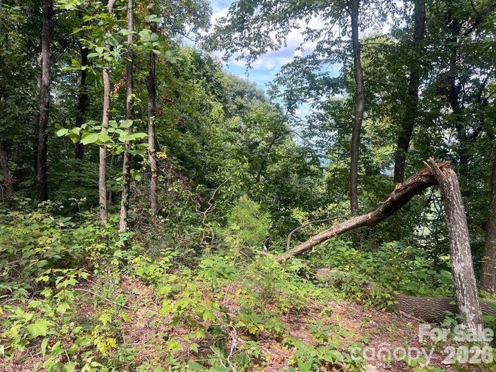 Property Photo: 6792 Silver Creek Lane NC 28655