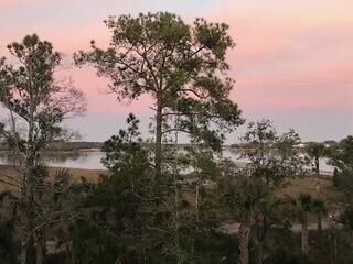 Property Photo:  2378 Brackish Drive  SC 29466 