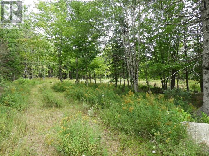 Property Photo:  Lot 2022-1 Meister Road  NS B0J 2M0 