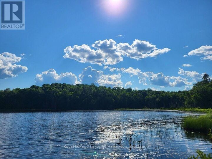 Property Photo:  9842 Highway 35  ON K0M 2L1 