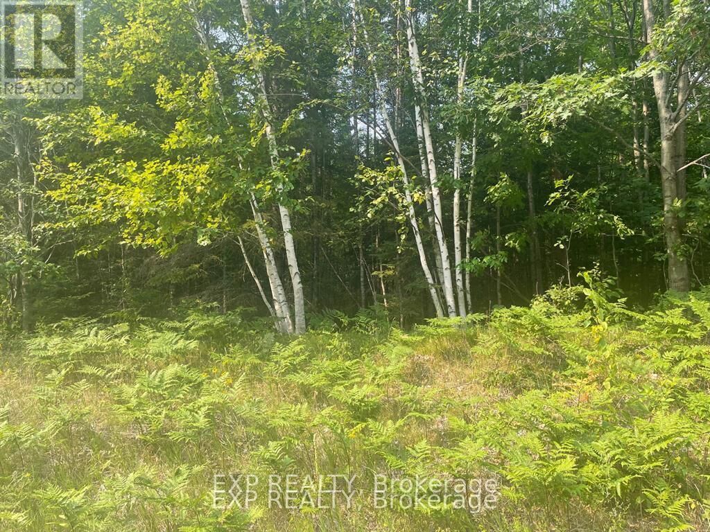 Property Photo:  1571 Schutt Road  ON K0J 2E0 