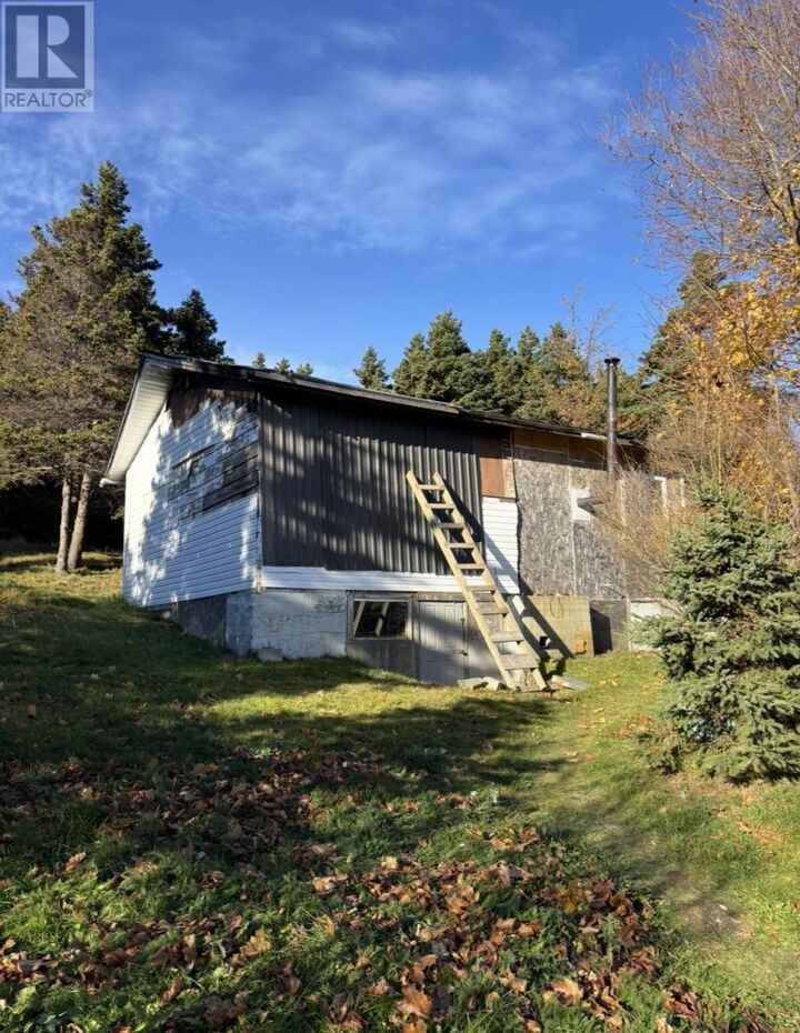 Property Photo:  23 Shea's Lane  NL A0A 1K0 