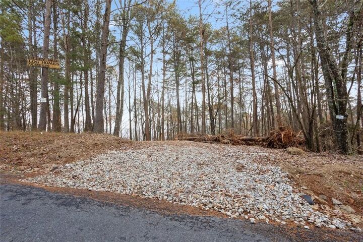 Property Photo:  172 Hunter Drive  GA 30175 