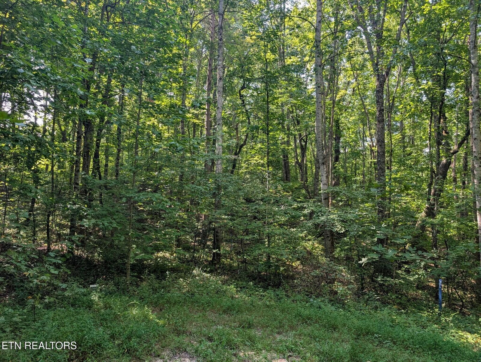 Property Photo: Retreat Circle- Lot- 48,49,50 TN 38572