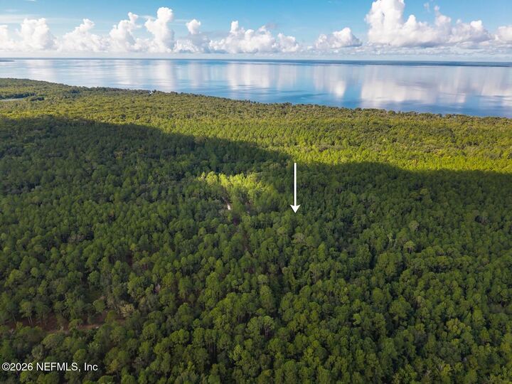 Property Photo:  402 Siesta Drive  FL 32139 