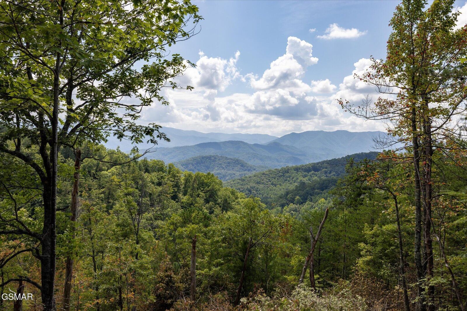 Property Photo:  1080 Hembree Hollow Road  TN 37882 