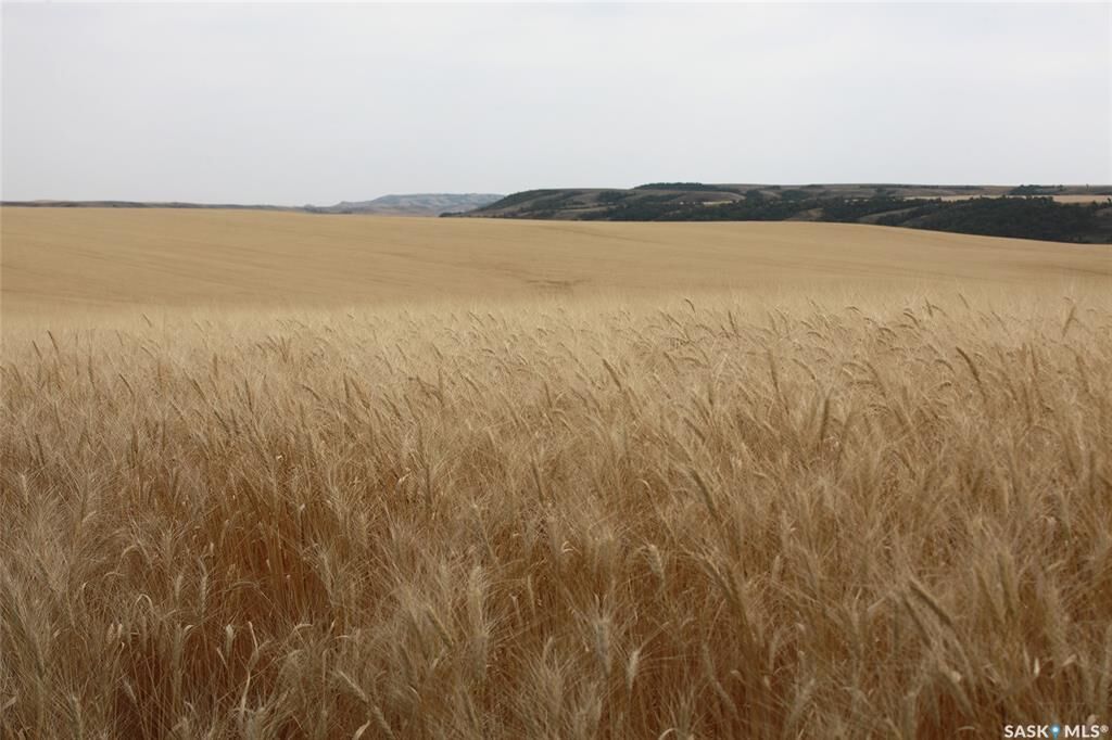 Property Photo:  Rural Address  SK S0H 4K0 