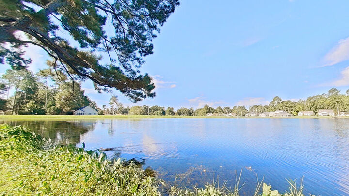 Property Photo: 106 Charity Cove GA 31757